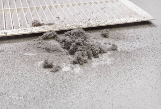Best HVAC Duct Inspection Services  in Daniel, UT