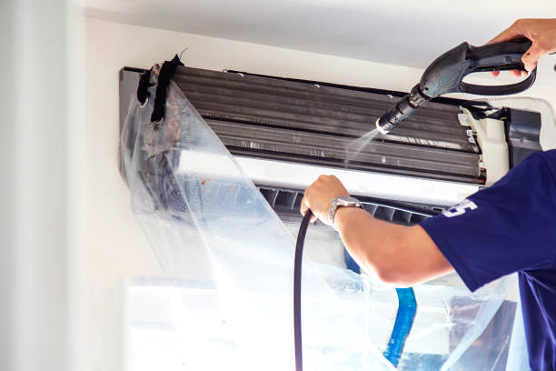 Air Duct Mold Removal in Daniel, UT